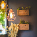 Kit 5 Lâmpadas LED Vintage Gold.